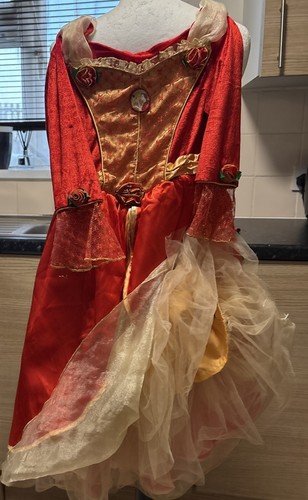 Costume disney principessa - costume,